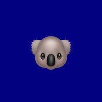 オーストラリア語学研修