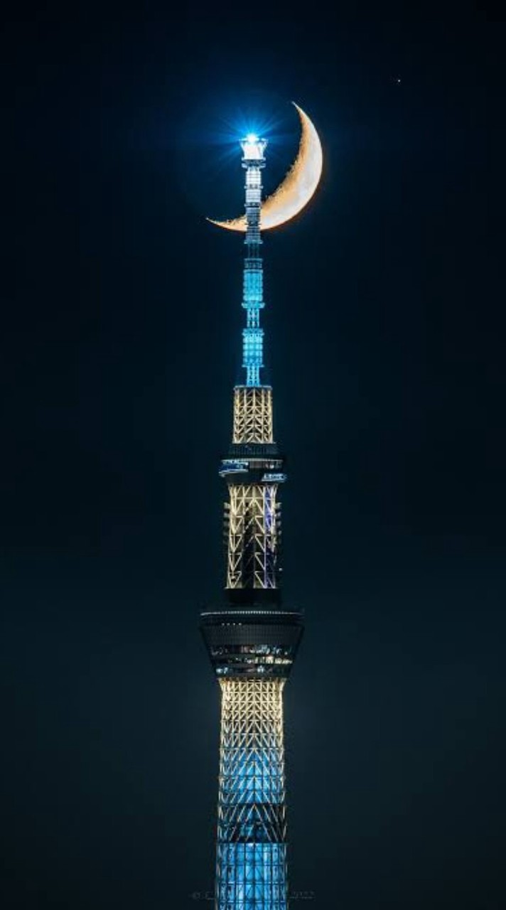 ここな＆サトゥー