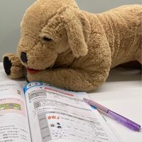 國中課業交流群