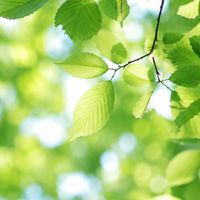 広島🍁40代overまったり雑談部屋