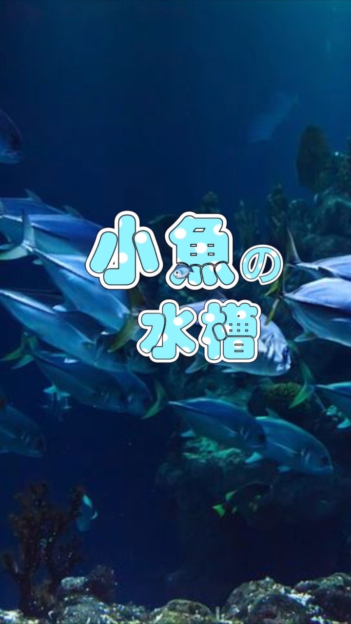 YouTube【ブルーシー】小魚たちの水槽のオープンチャット