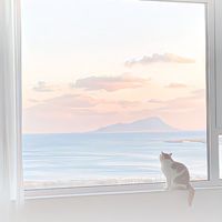 已婚愛作夢❤️邀你來做夢