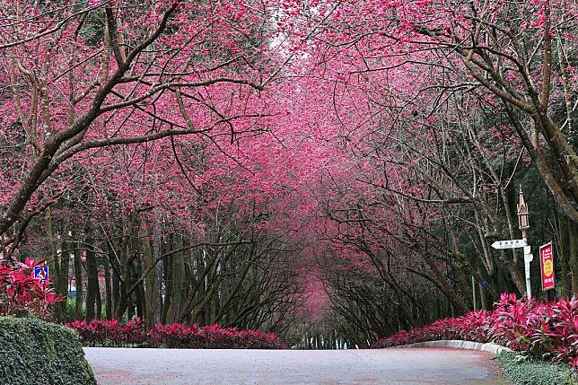 ▲九族文化村（圖片來源：IG @kunhsienchen）