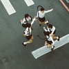 KーPOP なりきり‎‪ ♩