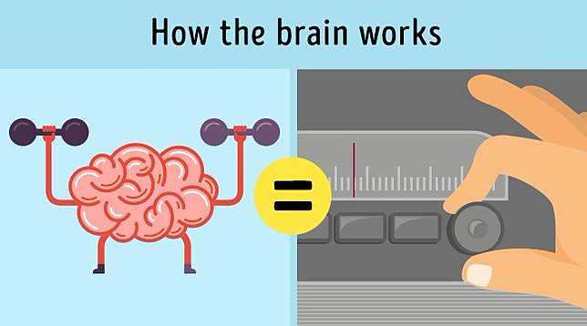 8 Fakta Tubuh