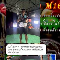 ซุ้มคมเพชรศาสตรา