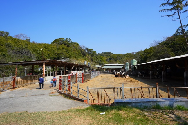 八卦山脈牧場,大山休閒牧場,大山牧場,彰化最佳親子景點,彰化牧場