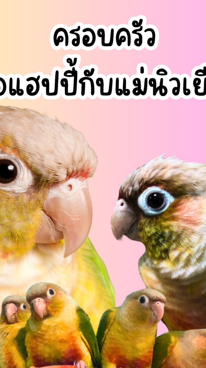 นก นก นก นกจริงๆ