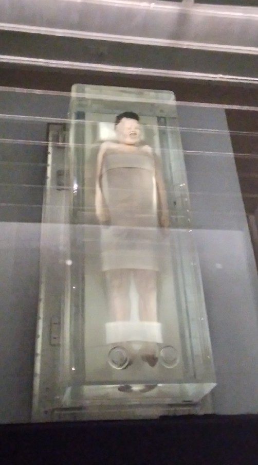 養眼尤物不害臊🌹