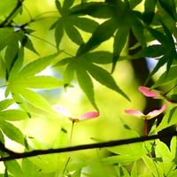 風景写真部《関西》