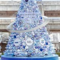 กลุ่มคริสต์มาส🎄🎄🩰
