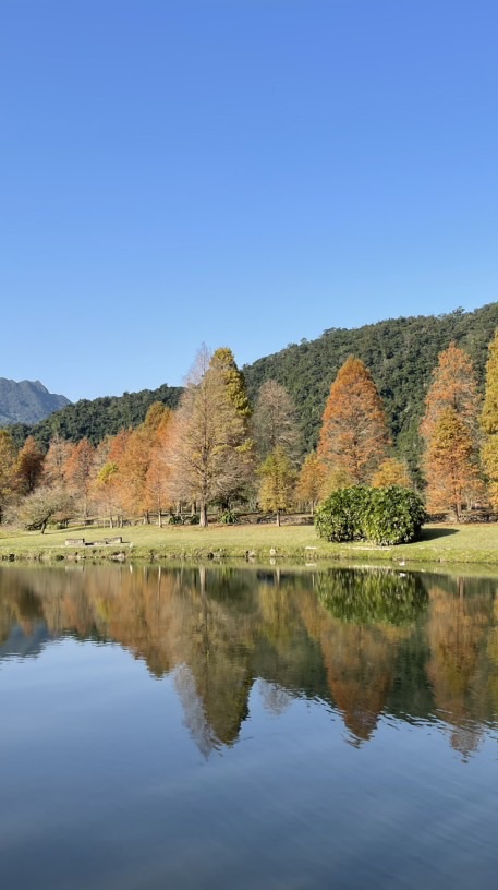 黃帝內經健康養生法