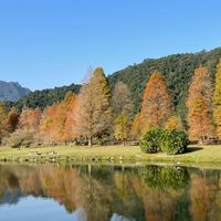 黃帝內經健康養生法