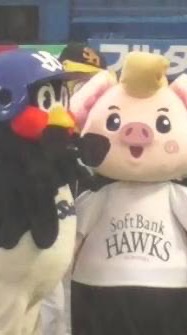 我らのホークス＆スワローズ！！育成事業関係者募集