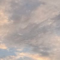 ふせへちをにねแชทคุยเล่นกัน