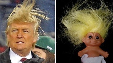 與美國商業大亨川普 髮型激似的 12 樣東西！