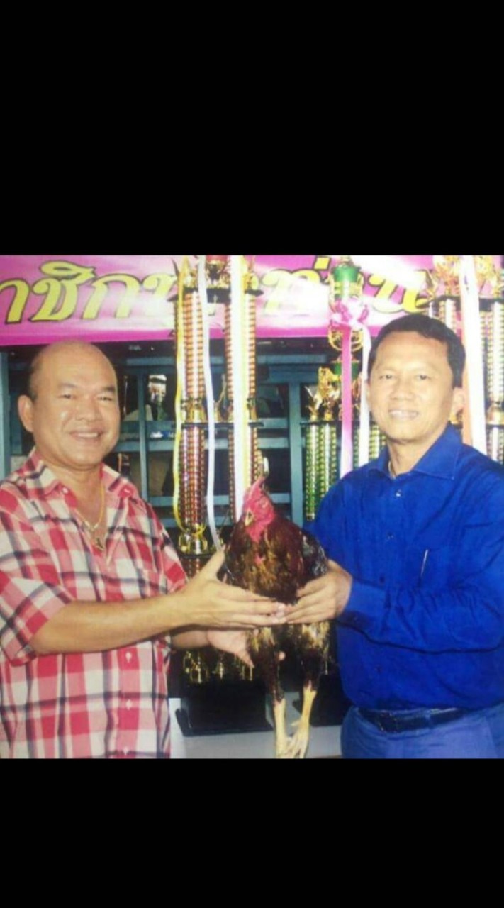 ชมรมอนุรักษ์และพัฒนาไก่พื้นเมืองจังหวัดราชบุรี