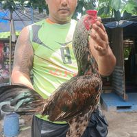 นักรบ ป.ศรีสุข/พรแม่วิไลทีมชลบุรี