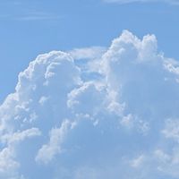 ズッキーニと相談