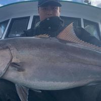 瘋釣手🐟手釣漁貨