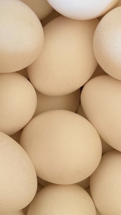 小日子手工酥皮蛋餅