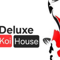 Deluxe koi House