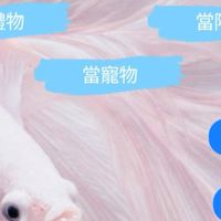 逗魚坊🐟上架區 夜市區