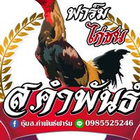 ส.คำพันธ์ ฟาร์ม
