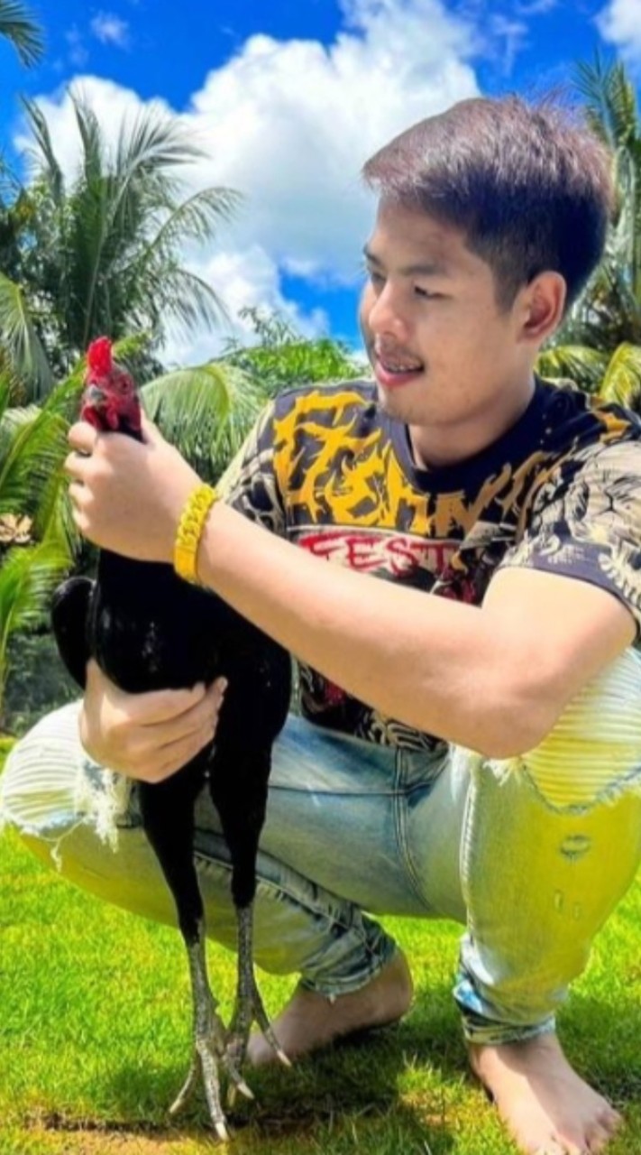 ไก่ชนเงินล้านธรรมชาติ