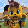 しょうちゃんの阪神タイガース応援部屋📣