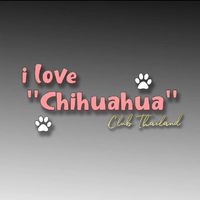 i Love ชิวาว่า Club TH
