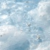 ᥫ᭡ˊ˗  夏 影 海 黎 ᦦ