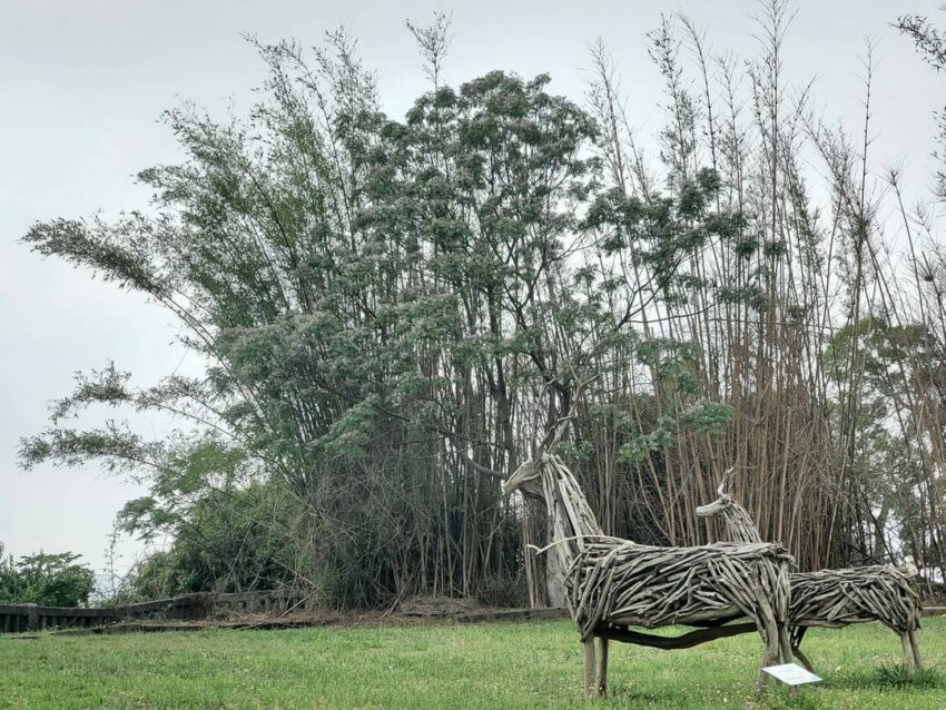 清水景點 2022清水景點｜清水一日遊懷舊美拍之旅、必吃美食推薦｜台中海線攻略 11 2022