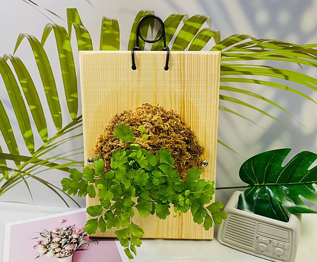 【VitaDesign】 森林系壁植