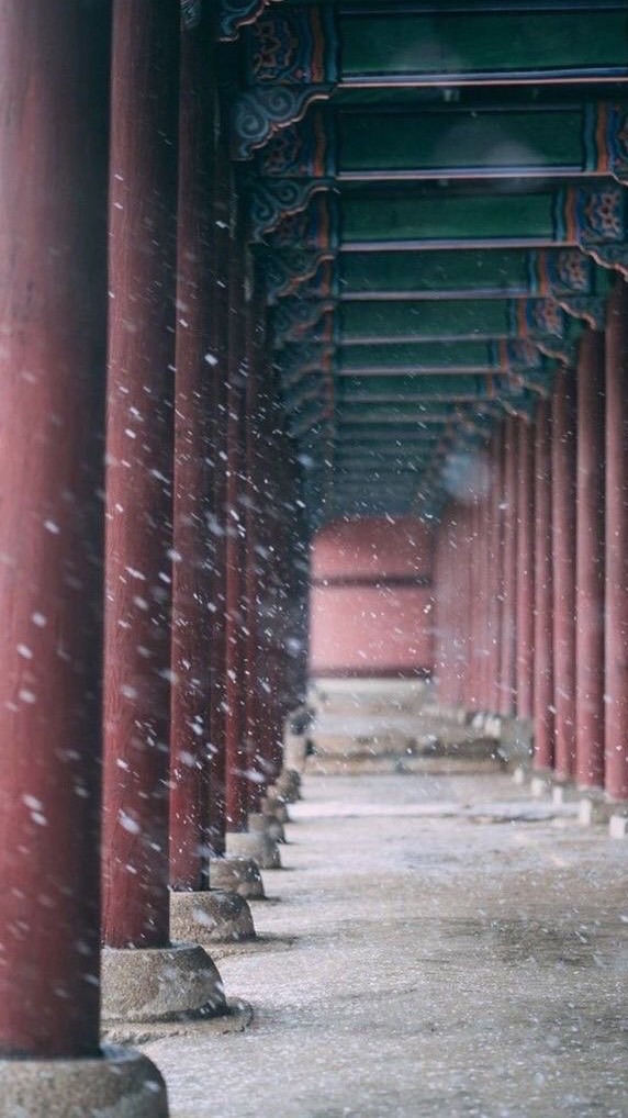 ✾ 연우:부생진 ✾