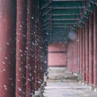 ✾ 연우:부생진 ✾