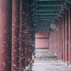 ✾ 연우:부생진 ✾