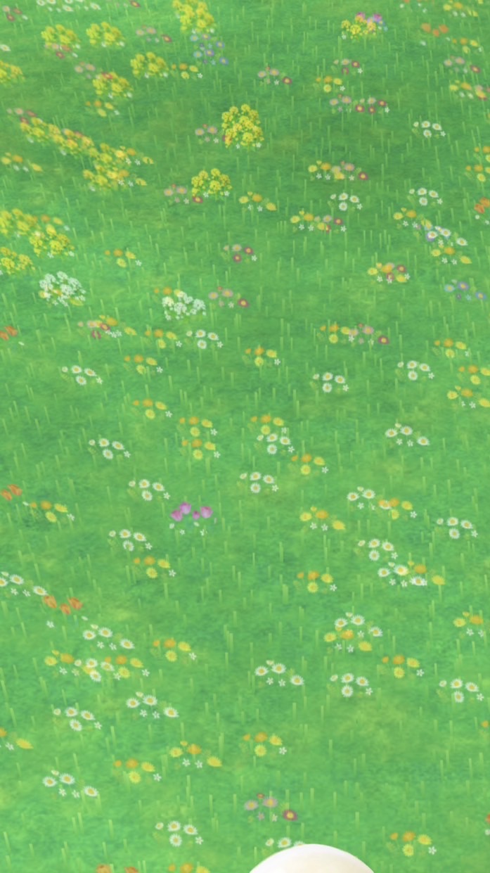 一起種花去～