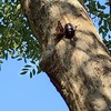 老湖口天主堂文化館
