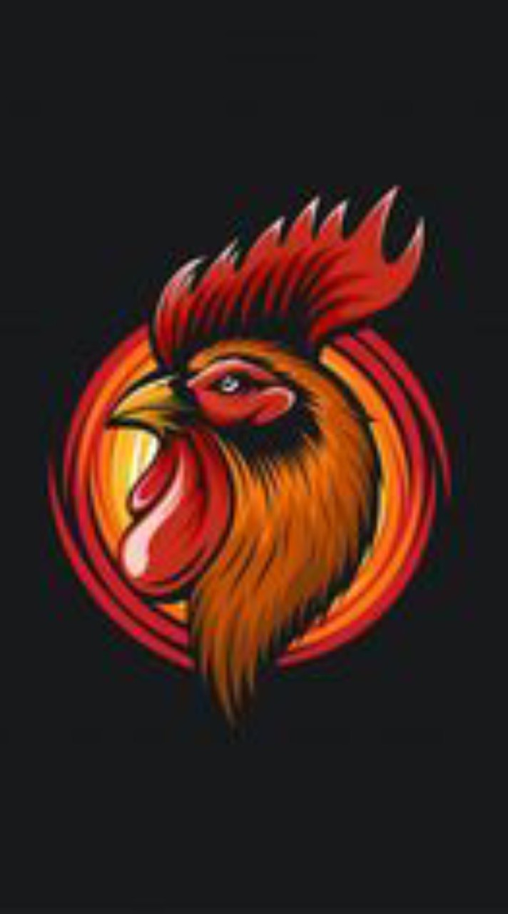 ข่าวสารไก่ชนคนเล่นไก่