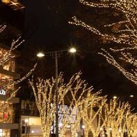 宮崎❤️愉快な仲間達❤️３０代～50代代限定！雑談部屋❤