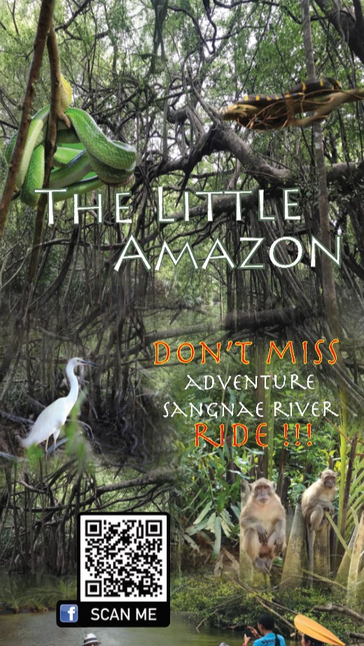The Little Amazon Takaupa