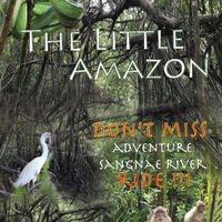 The Little Amazon Takaupa
