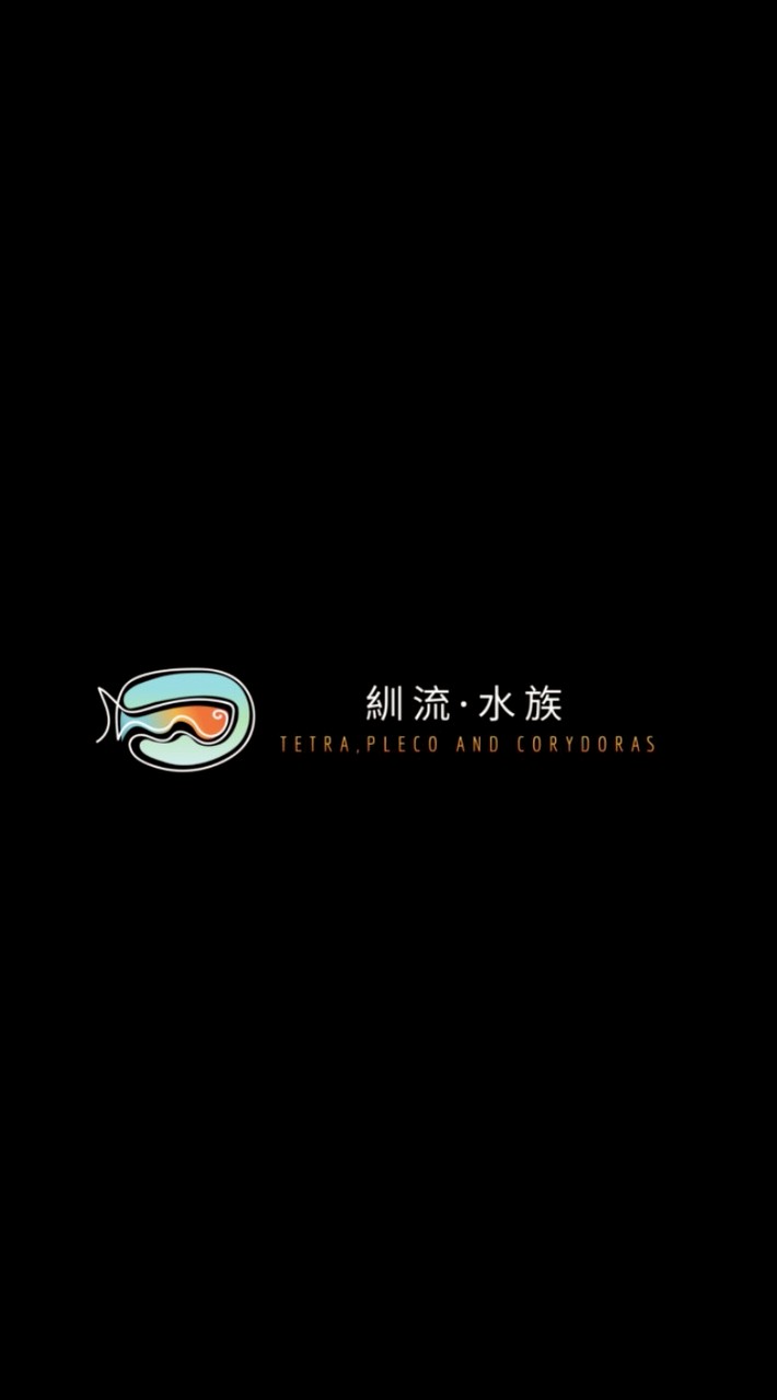 紃流·水族 Chuanliu Aquastudio（燈魚、鼠魚與異形）