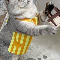 SuMai粟麥屋 寵物服裝 cosplay 動漫 卡通