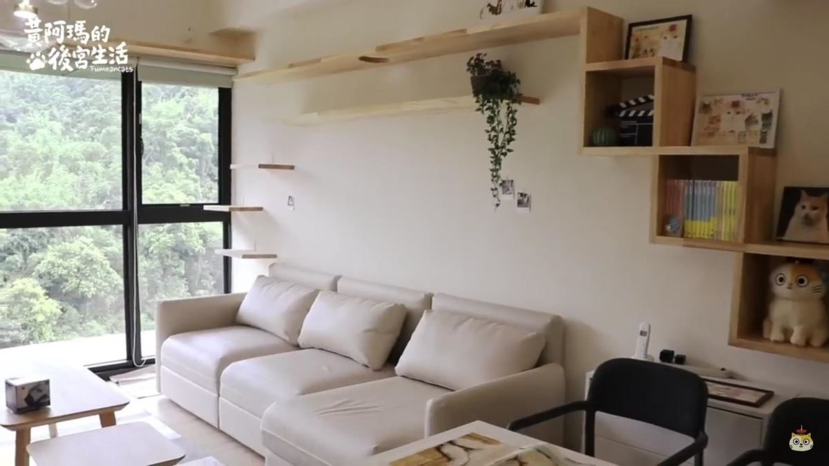 網路人氣貓咪黃阿瑪與6隻貓咪(三腳、嚕嚕、招弟、Socl