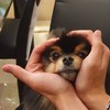 BTS ・セブチ  語りあおーぜの会！
