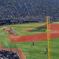 横浜DeNAベイスターズファン交流⚾