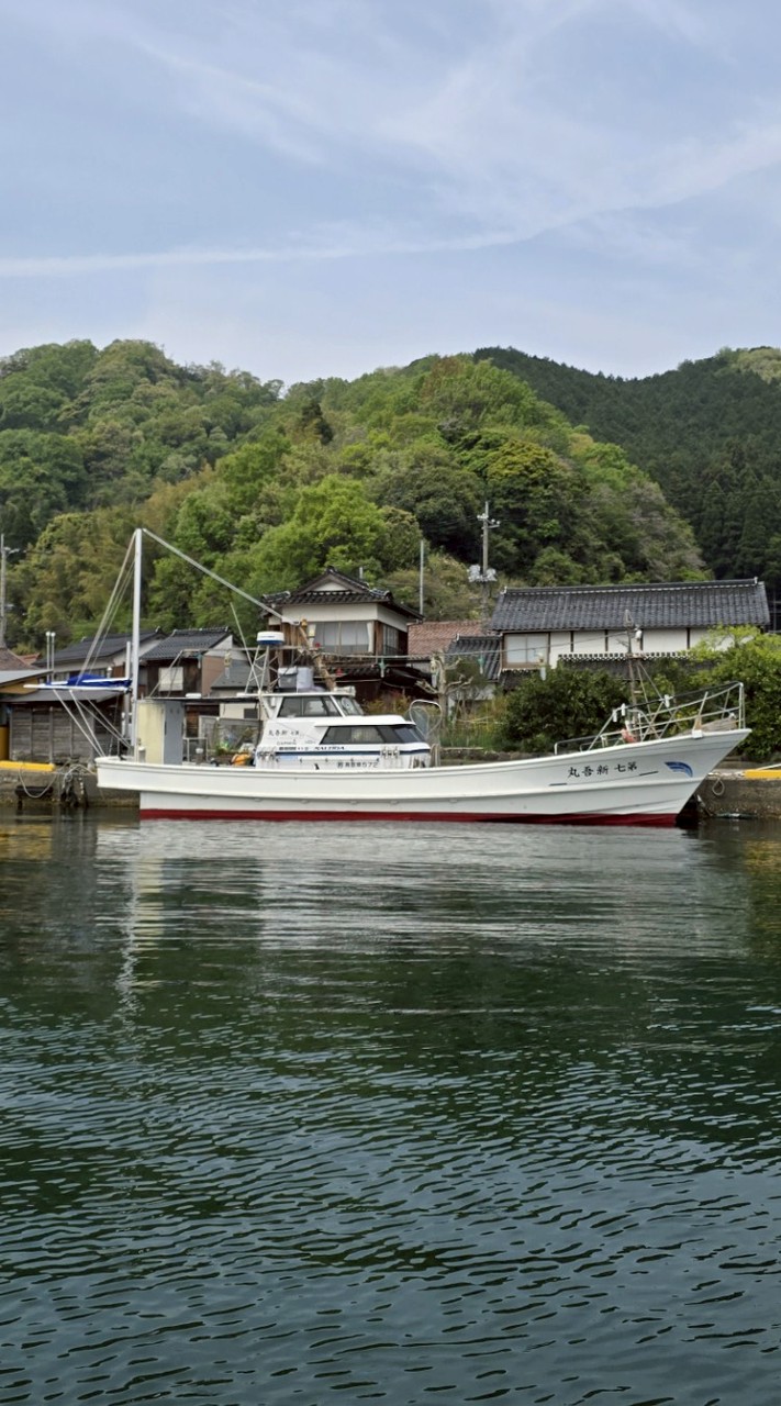 しんご丸情報配信ルーム