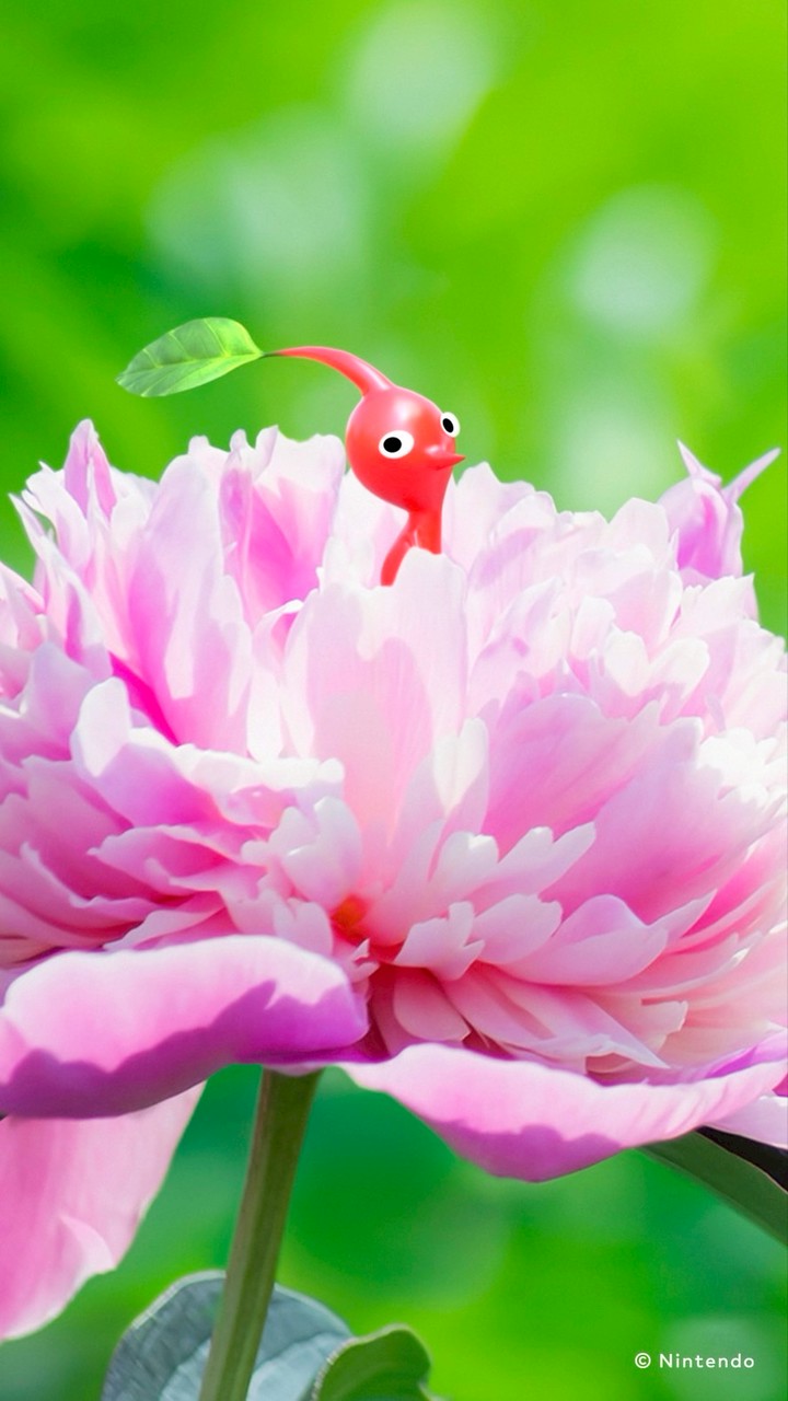 ✿ピクミンブルーム雑談✿